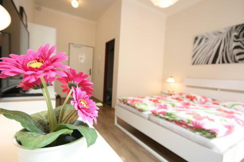 Hostal Pension Alba
