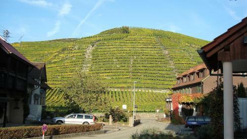 Hotel Altenberg