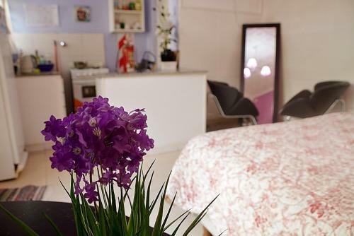Apartamento Ayres