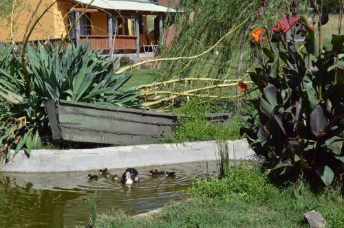 Complejo Dulcer�a El Cazador Y Caba�as