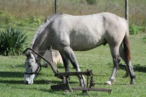 Complejo Dulcer�a El Cazador Y Caba�as