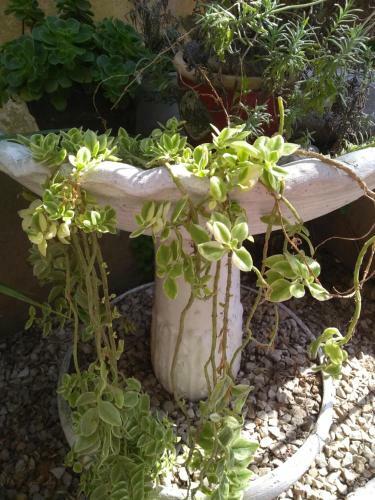 Posada Hostel Special Suites