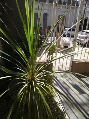 Posada Hostel Special Suites