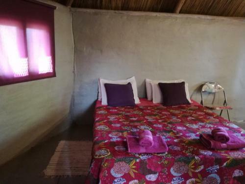 Lodge Establecimiento Rural El Cha�ar