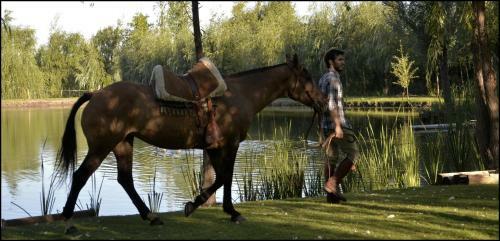 Caminos De Uco - Posada De Campo-