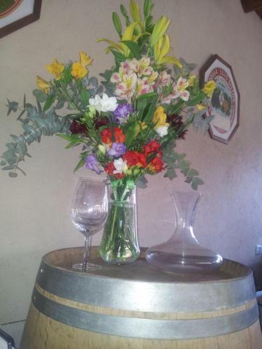 Guest House El Tata