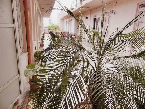 Posada Gran Hotel Col�n