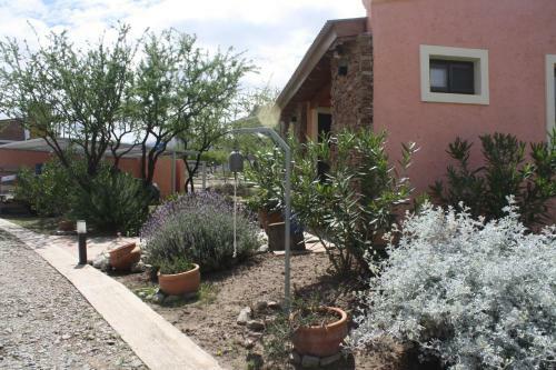 Lodge Los Ribazos