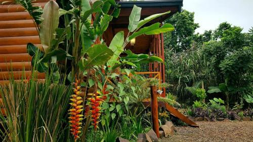 Terra Lodge - Relax & Naturaleza