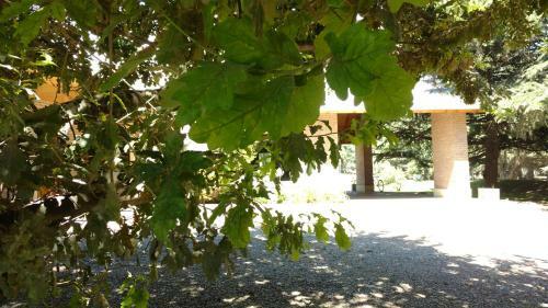 Apartamento El Ceibo Resort