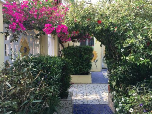 Apartamento Sunflower Villa Studios