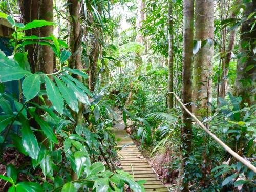 Kuranda Ngorongoro Lodge