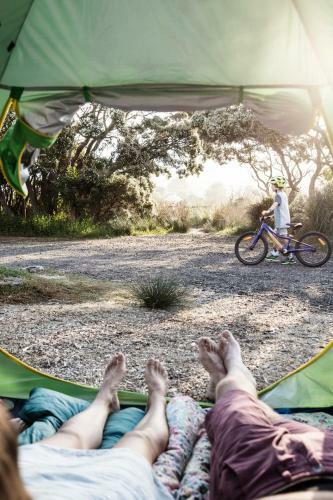 Anglesea Beachfront Family Caravan Park