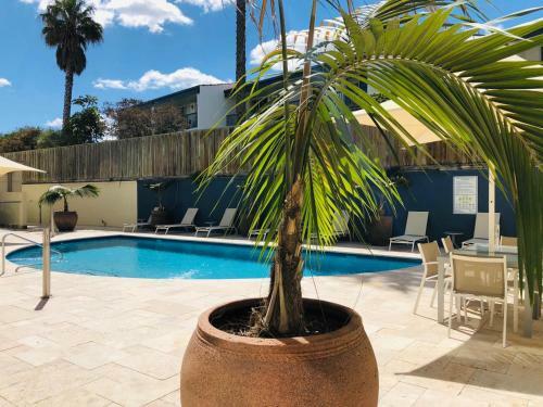 The Big Shell 2 - Apartment 404