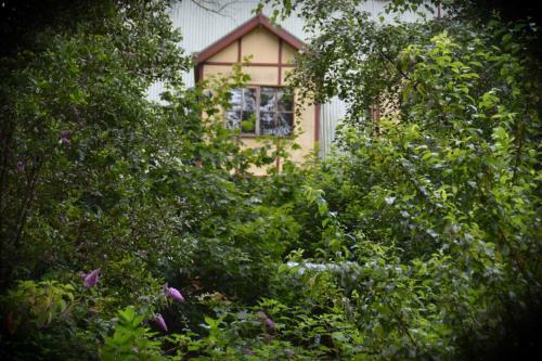Bed & Breakfast Mountain Lodge