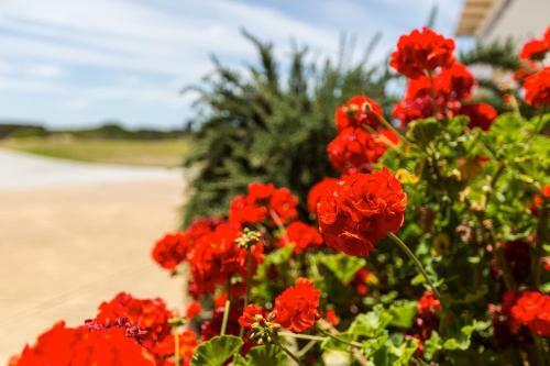 Hostal Wytonia Beachfront Accommodation