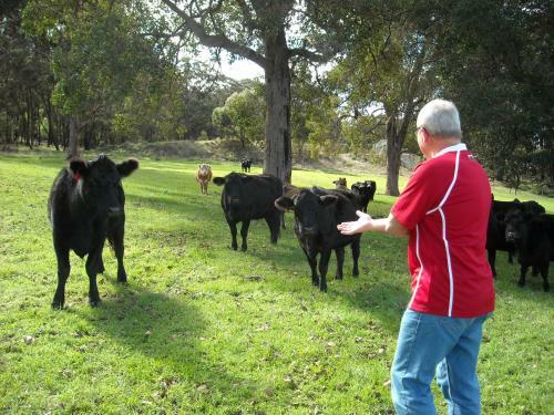 Agroturismo Jilba