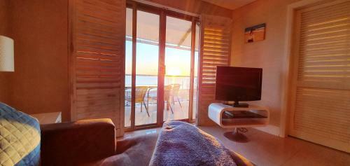 The Big Shell Apartment