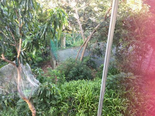 Bed & Breakfast Hidden Gem Burleigh Heads