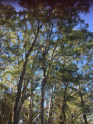 Bed & Breakfast Hidden Gem Burleigh Heads