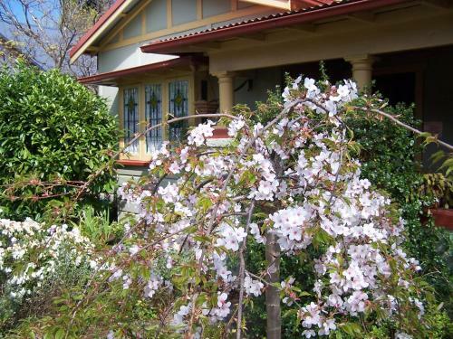 Shelton-lea Bed & Breakfast