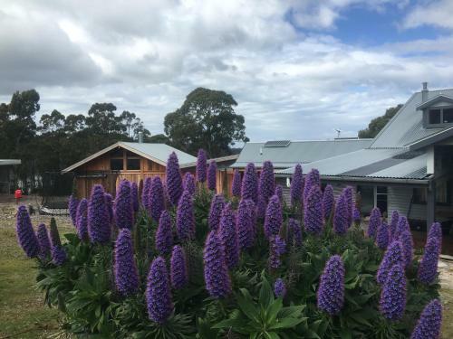 Bruny Lodge