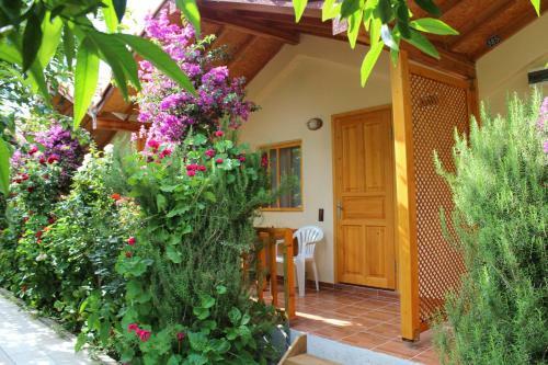 Hostal Blue Paradise Pension