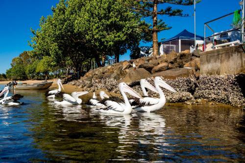North Coast Holiday Parks Massey Greene