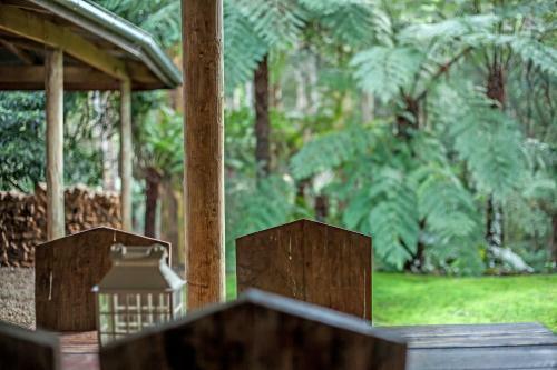Villa Fernglen Forest Retreat