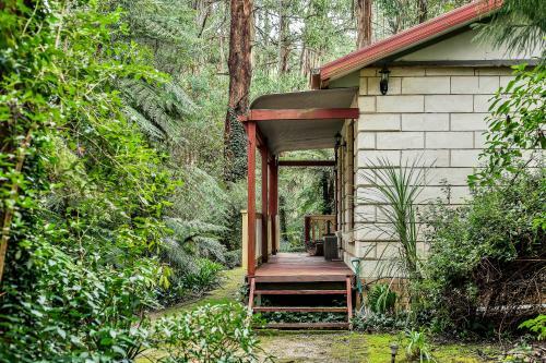 Villa Fernglen Forest Retreat