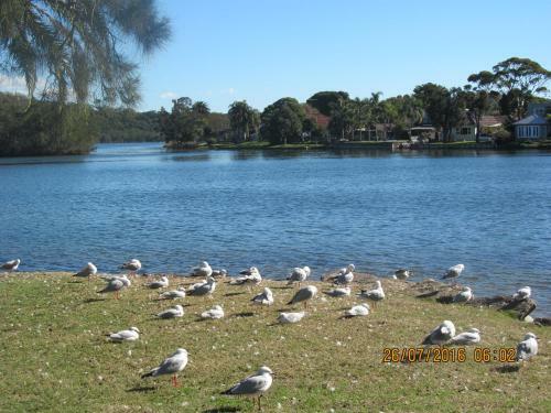 Apartamento Narrabeen Beachside Townhouse