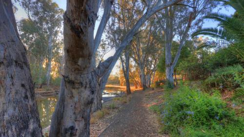 Moama Riverside Holiday Park