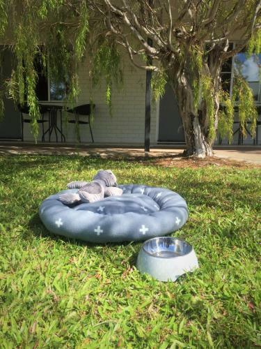 Hotel Cardwell At The Beach