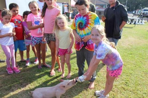 Burrill Lake Holiday Park