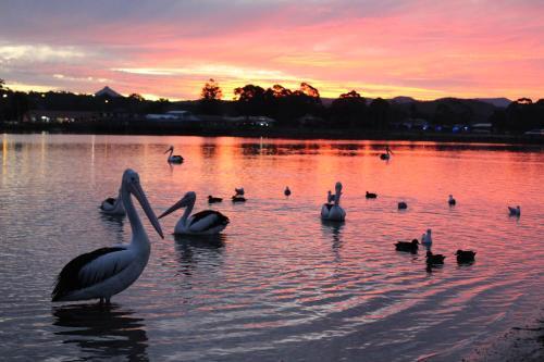 Burrill Lake Holiday Park