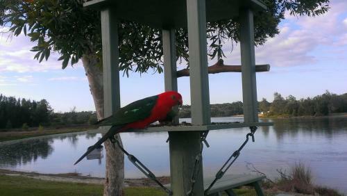 Burrill Lake Holiday Park