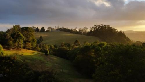 Bed & Breakfast The Spotted Chook And Amelie's Petite Maison