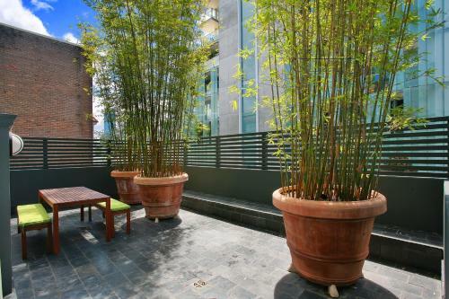 Stn2s 2br Potts Point - Uptown Apartments