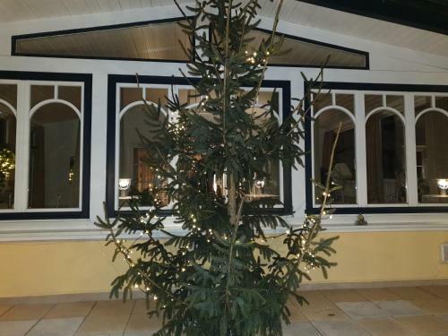 Hostal Villa Elisabeth