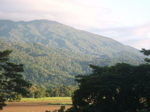 Mossman Gorge Bed And Breakfast