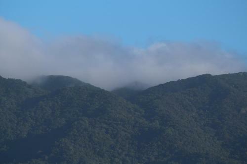 Mossman Gorge Bed And Breakfast