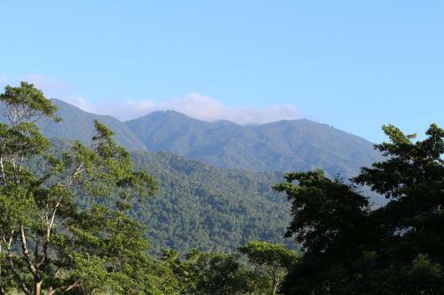 Mossman Gorge Bed And Breakfast