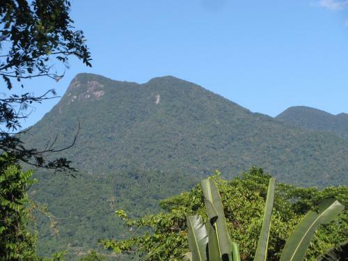 Mossman Gorge Bed And Breakfast