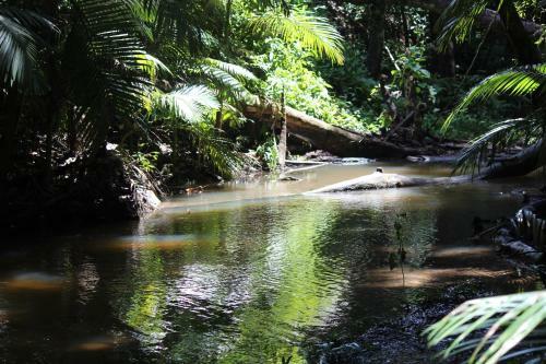 Mossman Gorge Bed And Breakfast