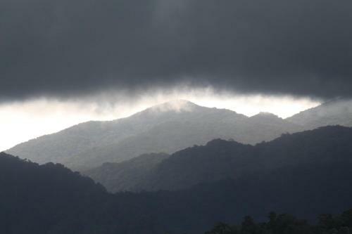 Mossman Gorge Bed And Breakfast