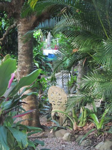 Mossman Gorge Bed And Breakfast