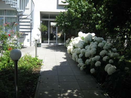 City Hotel
