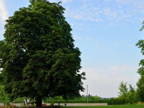 Holiday Home Am Ferienbauernhof II