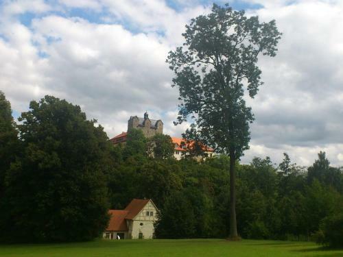 Spacious Apartment In Opperode With Terrace
