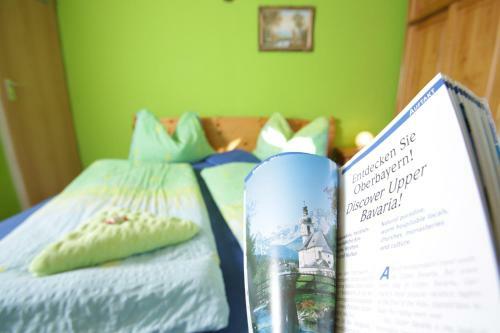 Hostal G�stehaus Alpina